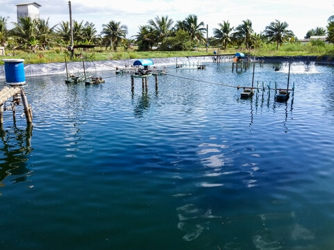 Samut Sakhon AI Water Quality & Climate Coupling Disease Early Warning