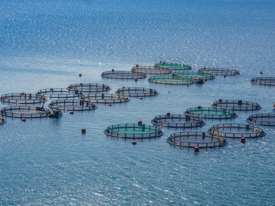 Chachoengsao Offshore Sea Cage Monitoring: Marine Climate & Underwater Vision AI