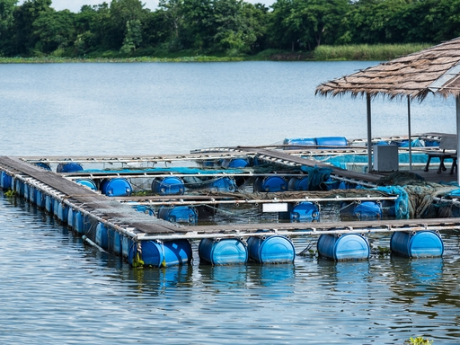 Chachoengsao Offshore Sea Cage Monitoring: Marine Climate & Underwater Vision AI
