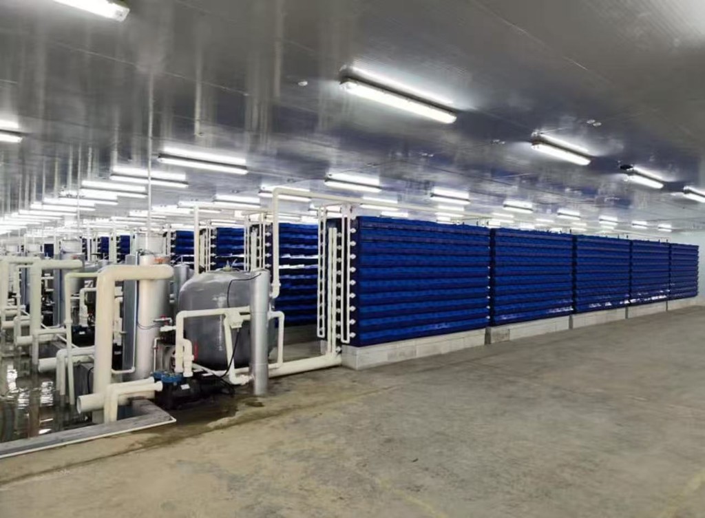 Chachoengsao Offshore Sea Cage Monitoring: Marine Climate & Underwater Vision AI