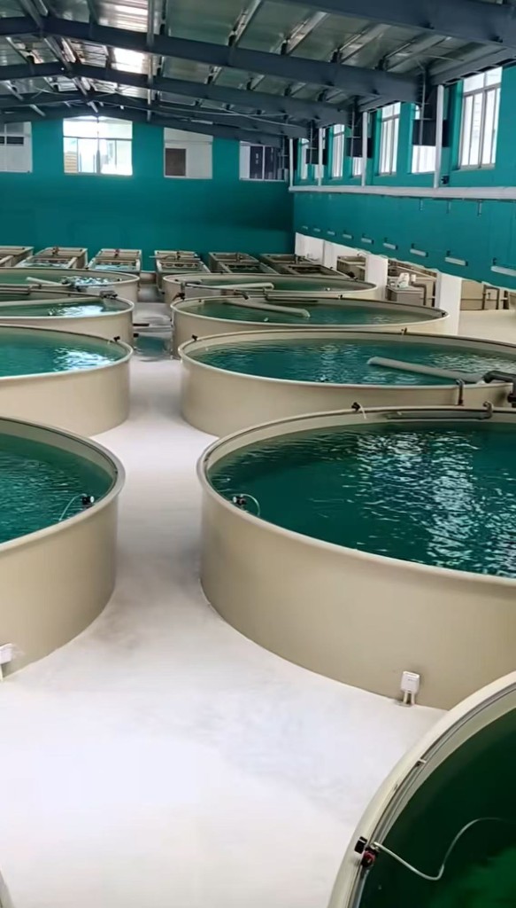 Surat Thani Federated Learning Cluster for Brackish-Water Cooperatives