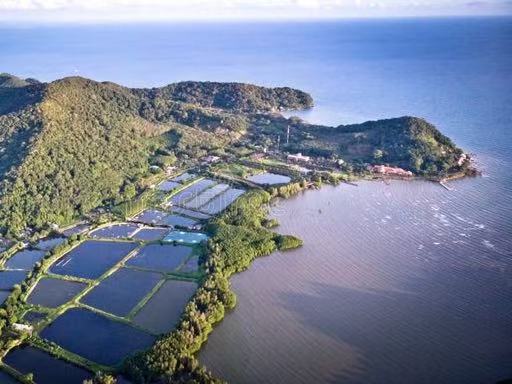 National GAP/ASC Export Aquaculture AI Digital Certification