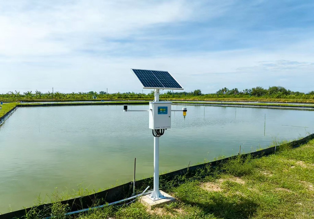 Chiang Mai Lightweight Inclusive AI for Inland Freshwater Aquaculture